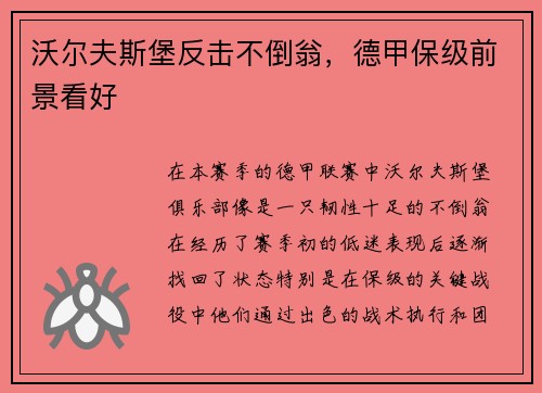 沃尔夫斯堡反击不倒翁，德甲保级前景看好