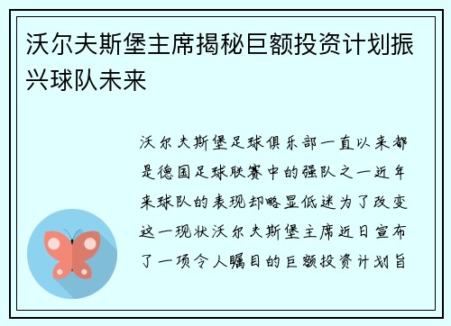 沃尔夫斯堡主席揭秘巨额投资计划振兴球队未来