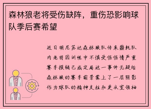 森林狼老将受伤缺阵，重伤恐影响球队季后赛希望